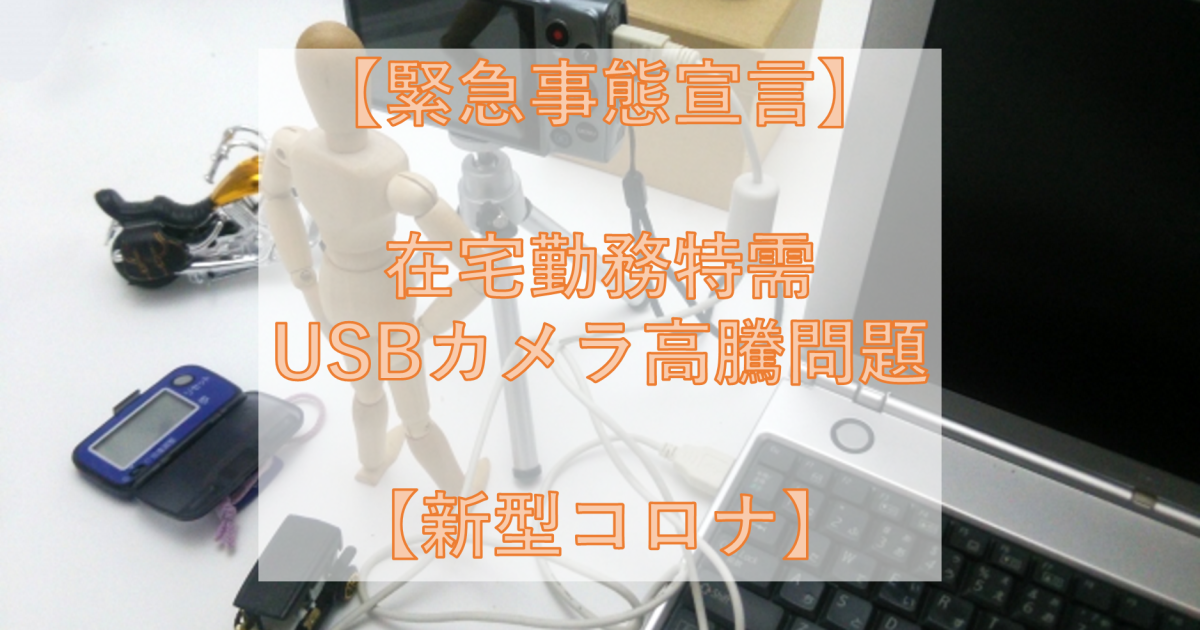 【緊急事態宣言】在宅勤務特需：USBカメラ高騰問題【新型コロナ】