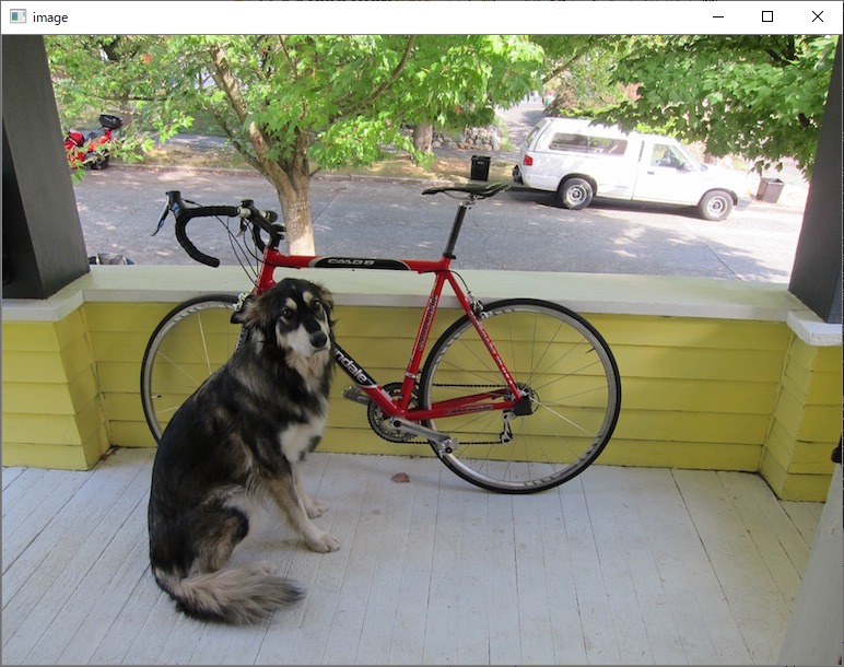 犬と自転車 画面表示 OpenCV