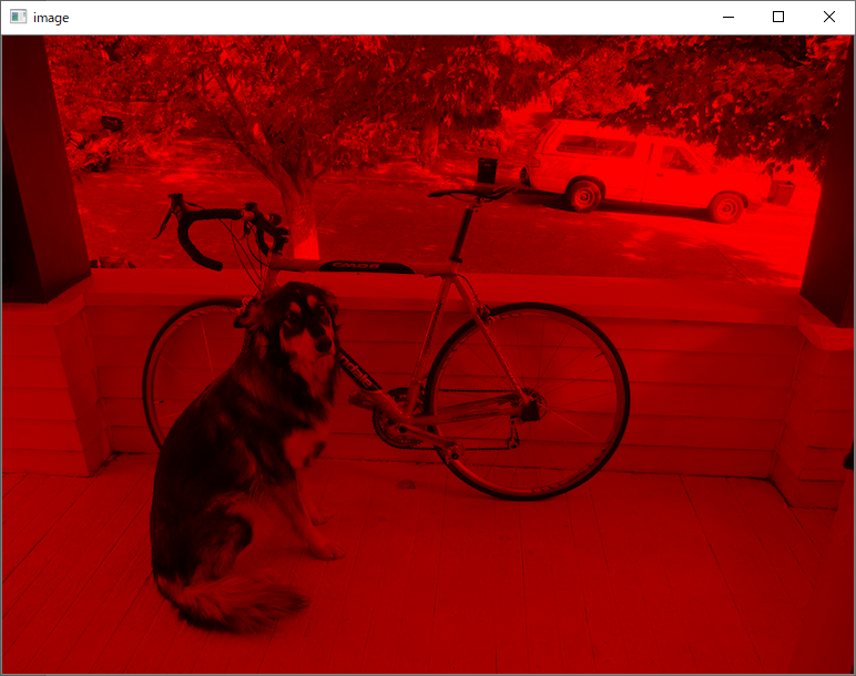 犬と自転車 OpenCV Red