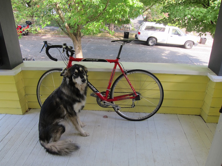 犬と自転車