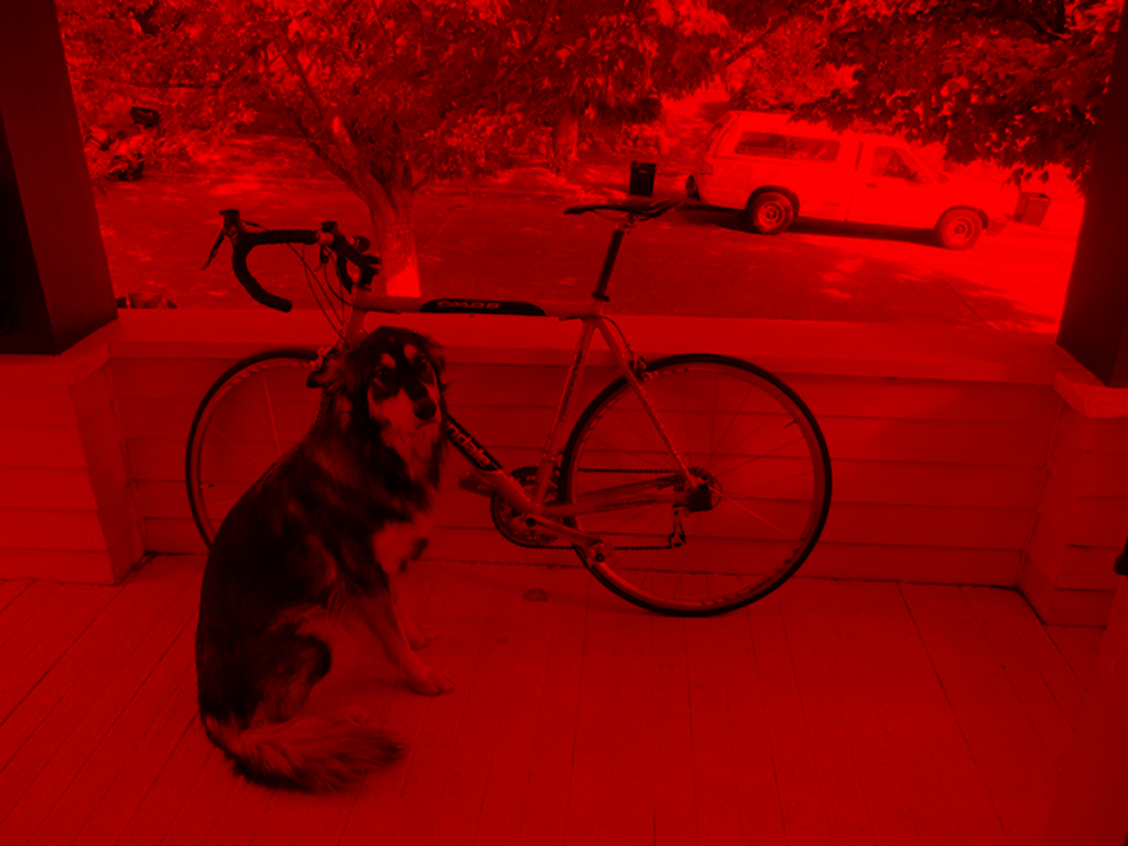 犬と自転車(赤)