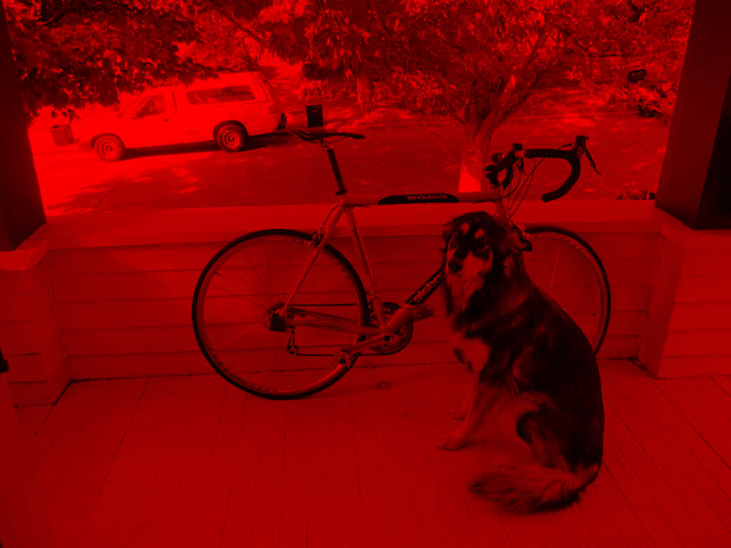 犬と自転車(赤)(左右反転)