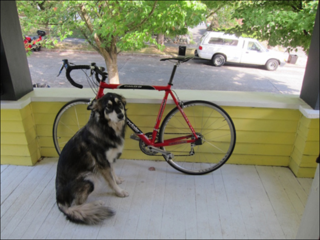 犬と自転車、ガウシアンフィルタ、Python(NumPy)