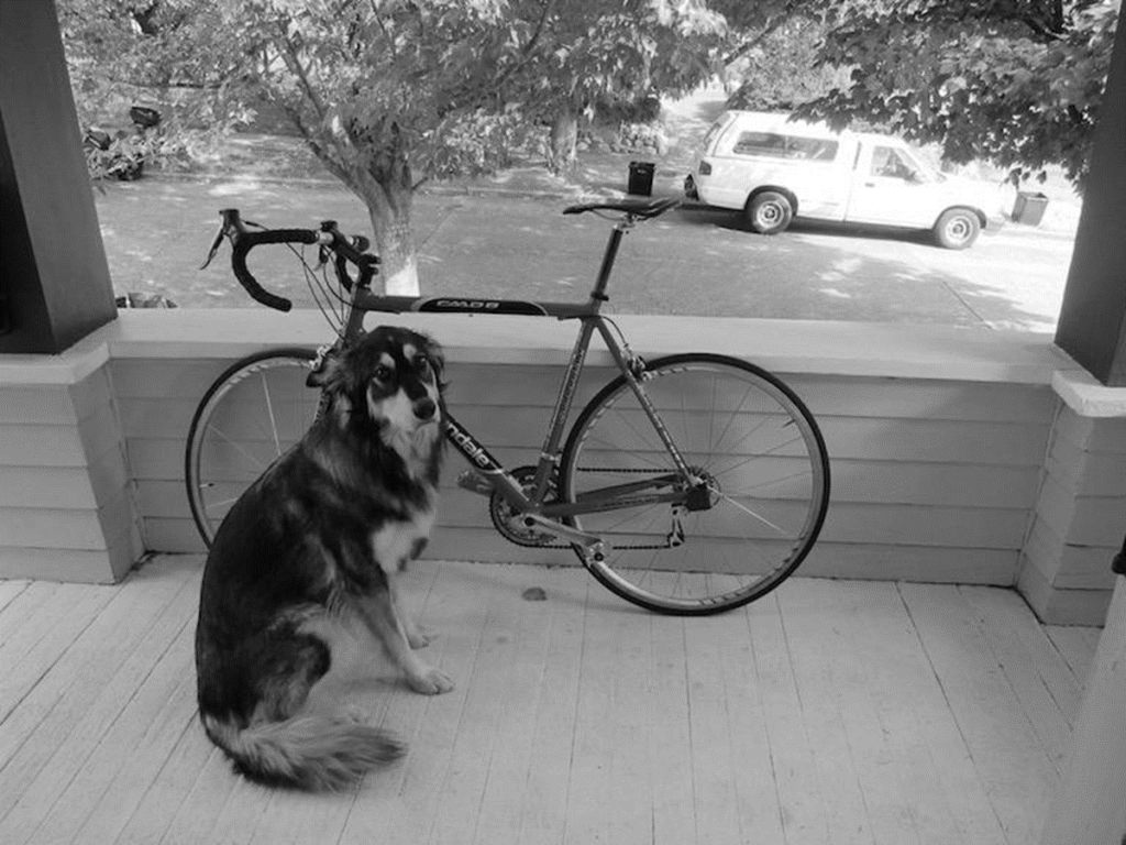 犬と自転車(RGB平均グレースケール)