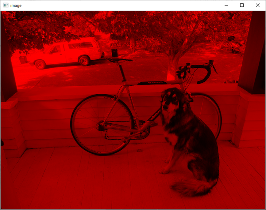 犬と自転車(左右反転)(Python)