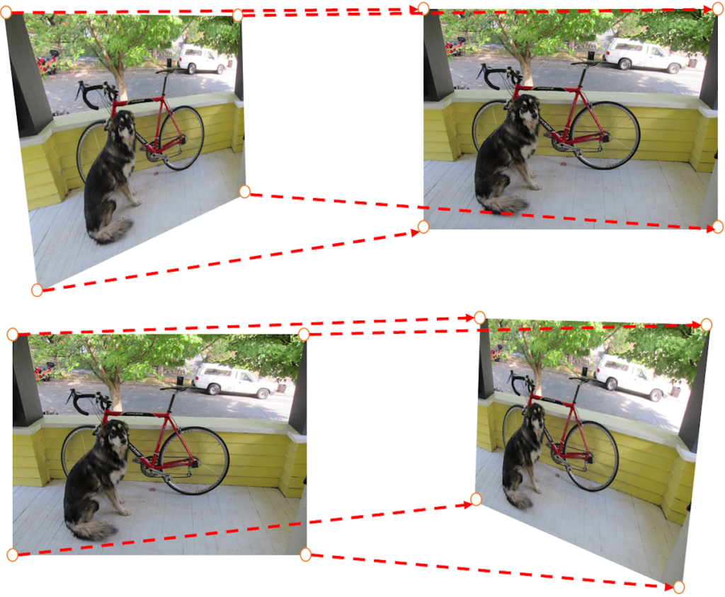 射影変換(犬と自転車)
