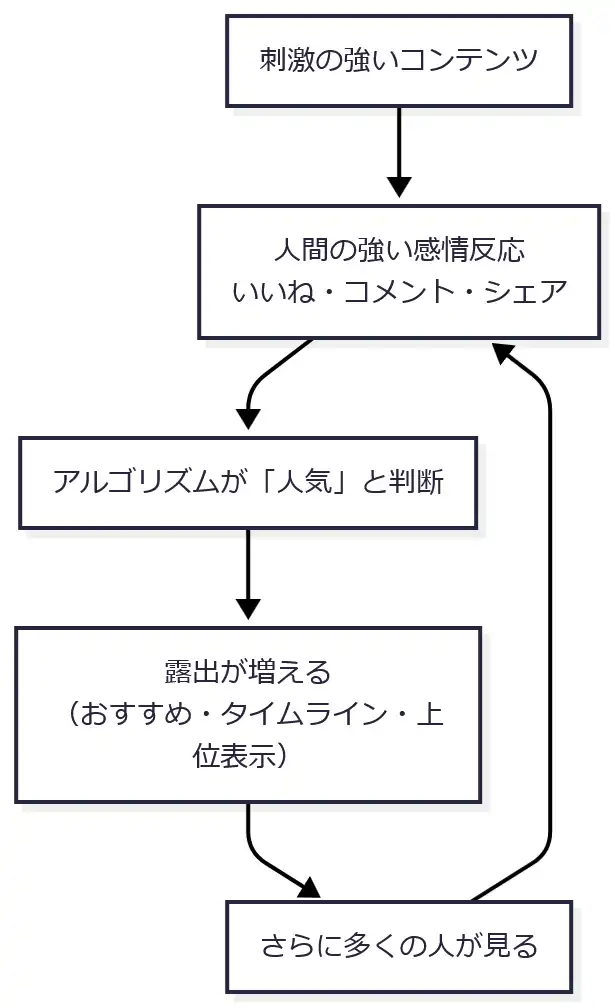 反応の多いものを上に出すアルゴリズム
flowchart TD
  A[刺激の強いコンテンツ] --> B[人間の強い感情反応<br>いいね・コメント・シェア]
  B --> C[アルゴリズムが「人気」と判断]
  C --> D[露出が増える<br>(おすすめ・タイムライン・上位表示)]
  D --> E[さらに多くの人が見る]
  E --> B