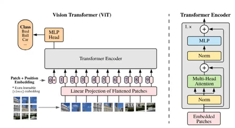 画像をグリッド状にパッチ分割し、各パッチをトークンベクトルに変換するVision Transformerの概念図