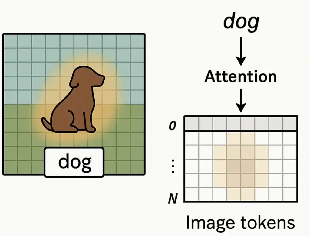 犬の画像に対して、Attentionが集中している領域を赤いヒートマップとして重ねた例